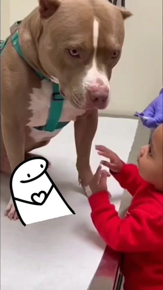 TikTok video thumbnail by _sweet_578
