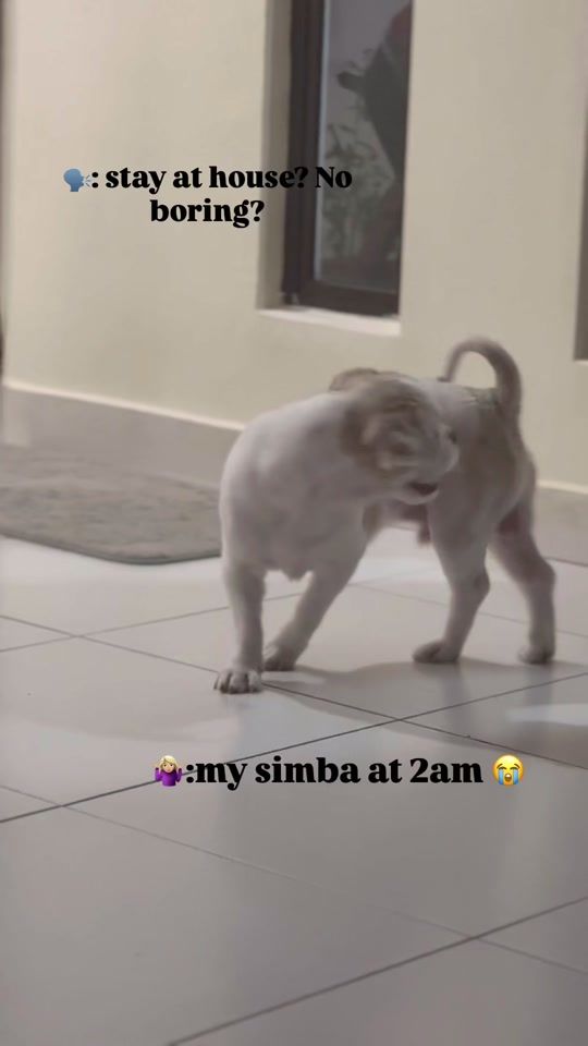 TikTok video thumbnail by _lxnaaa.04
