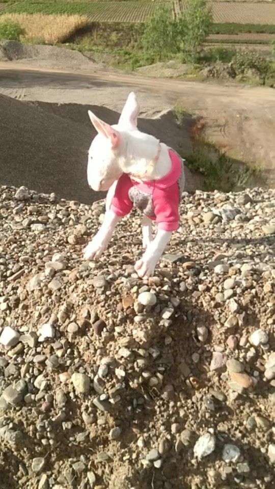 TikTok video thumbnail by tu.matuco