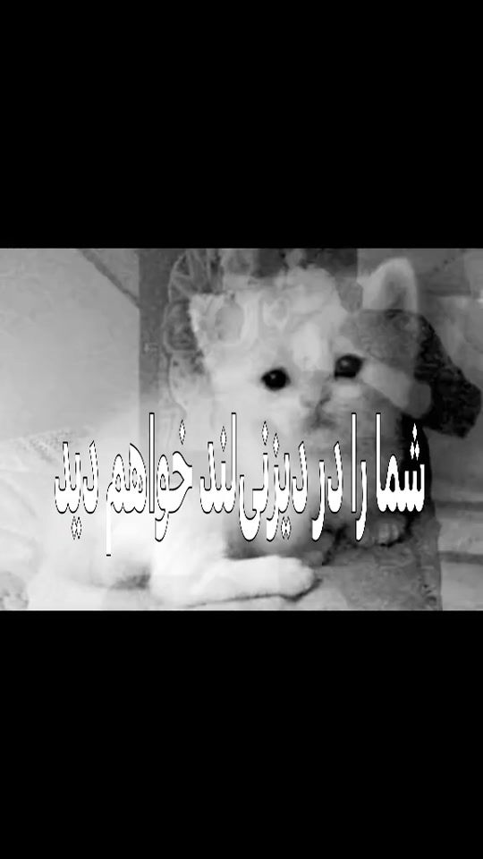 TikTok video thumbnail by kir2iran