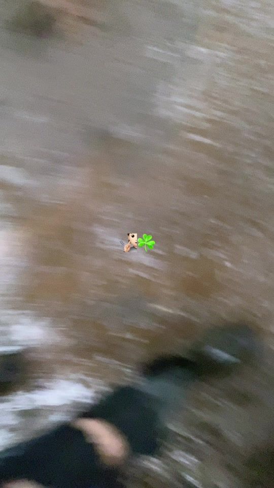 TikTok video thumbnail by 6969flako