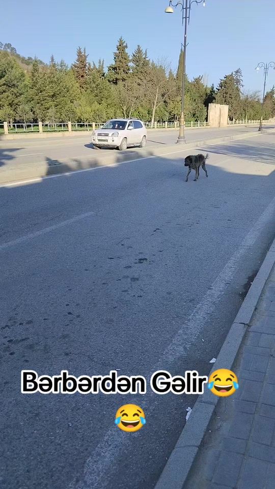 TikTok video thumbnail by dagli_017