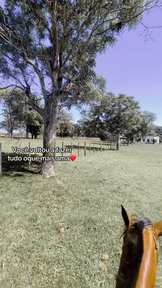 TikTok video thumbnail by ericacheiram