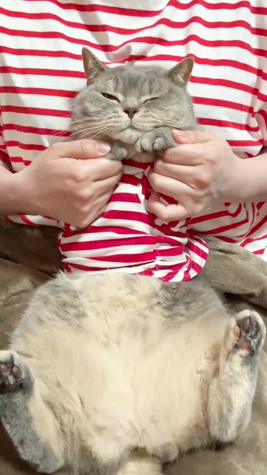 TikTok video thumbnail by fu_chan.po