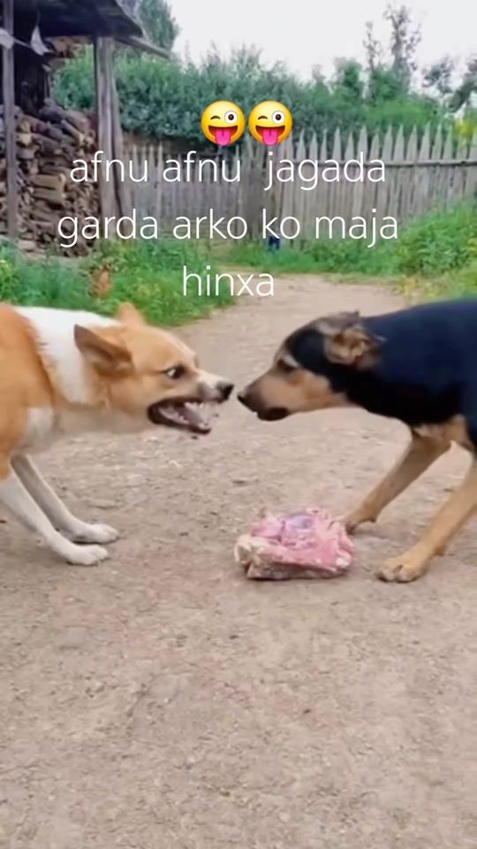 TikTok video thumbnail by kalekorani