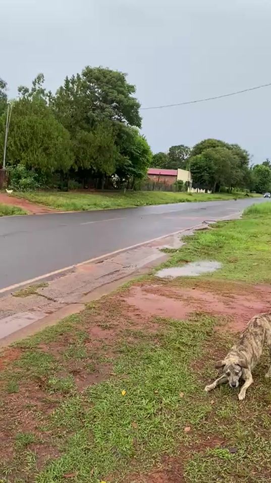 TikTok video thumbnail by _ivan619