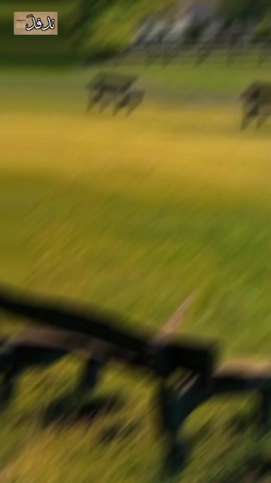TikTok video thumbnail by h1a9
