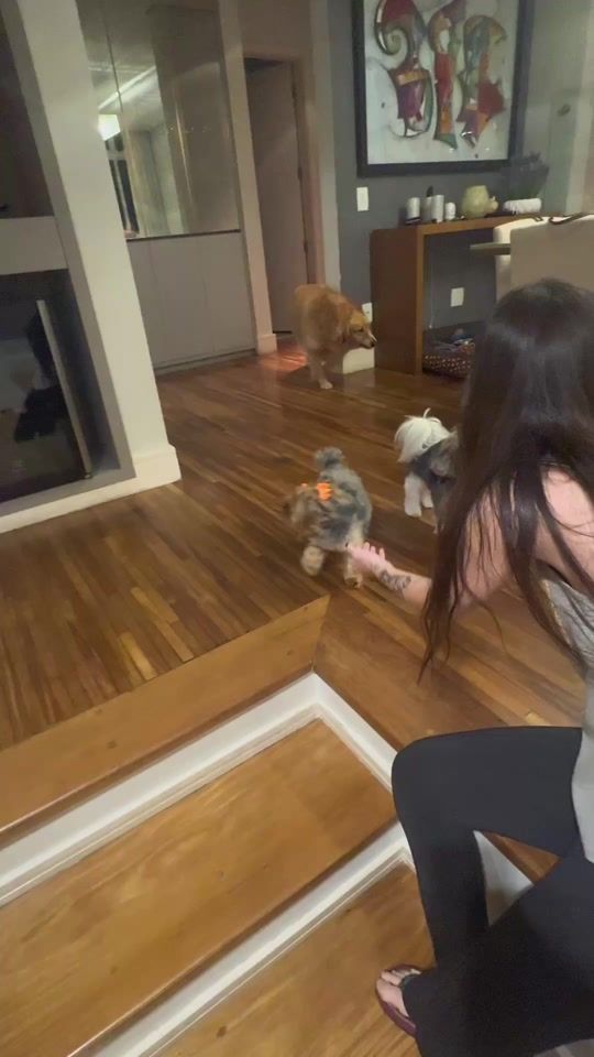 TikTok video thumbnail by guuustavovs
