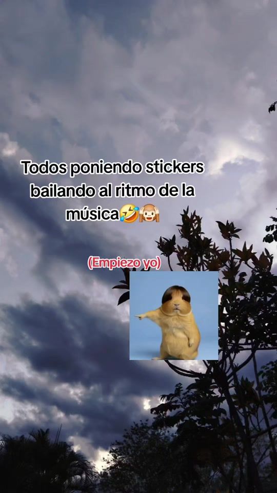 TikTok video thumbnail by s.yoha_05