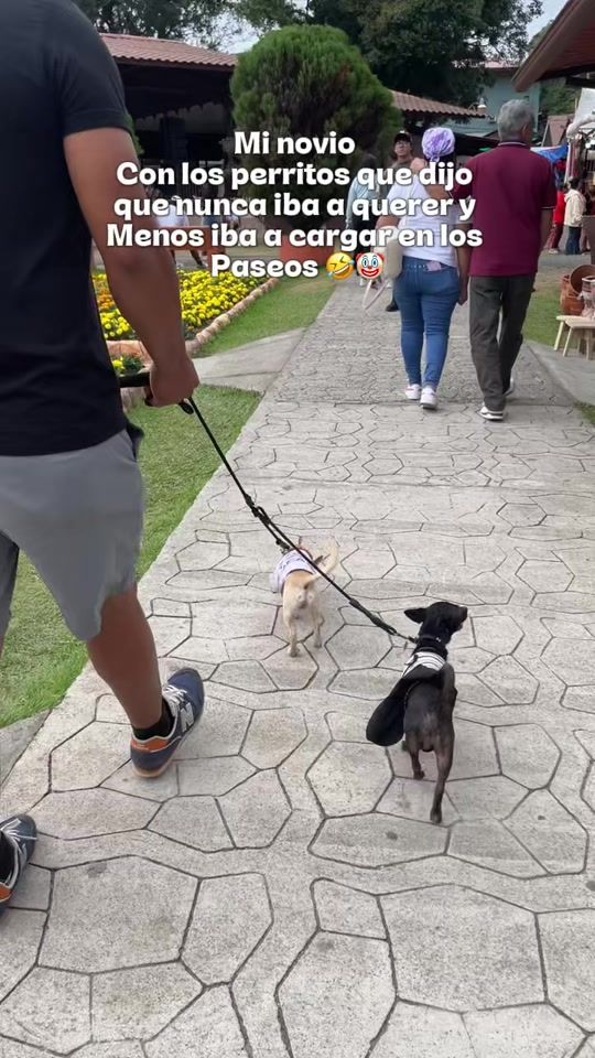 TikTok video thumbnail by monicarachell10