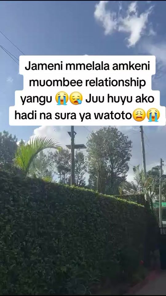TikTok video thumbnail by nelson.neisy