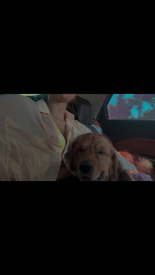 TikTok video thumbnail by by_laymin