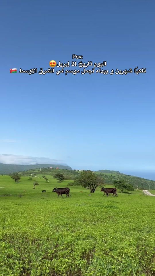 TikTok video thumbnail by _h99x