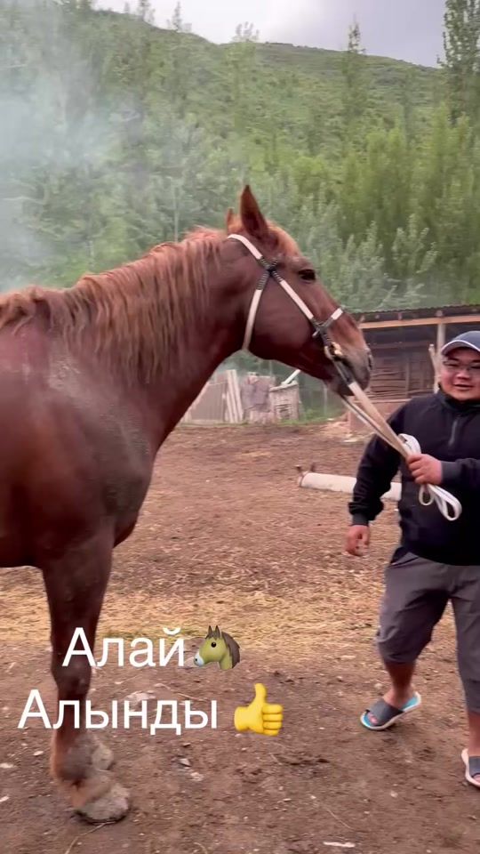 TikTok video thumbnail by jenishov22