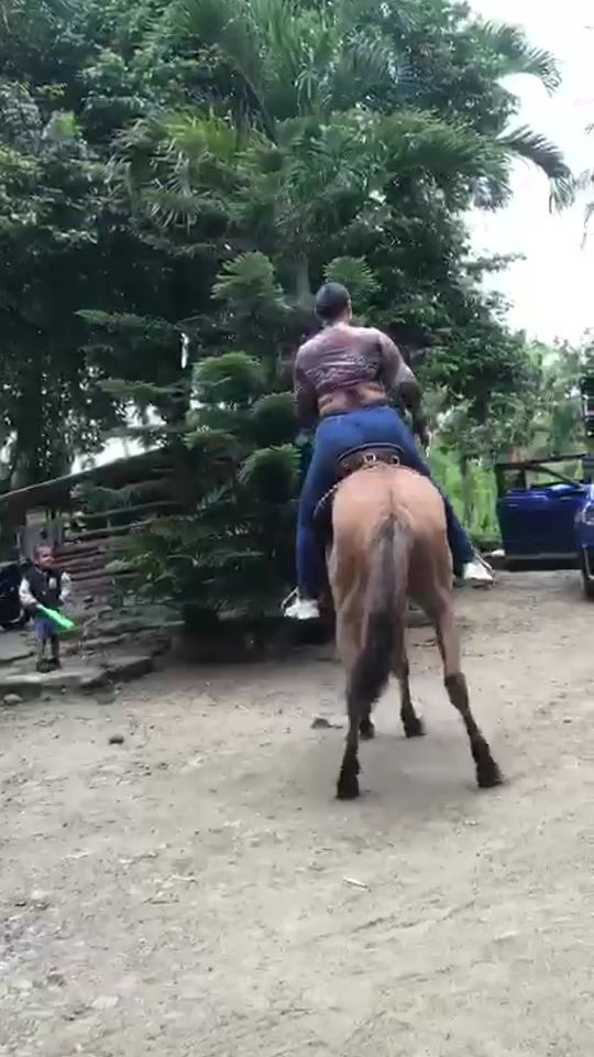 TikTok video thumbnail by espinalana