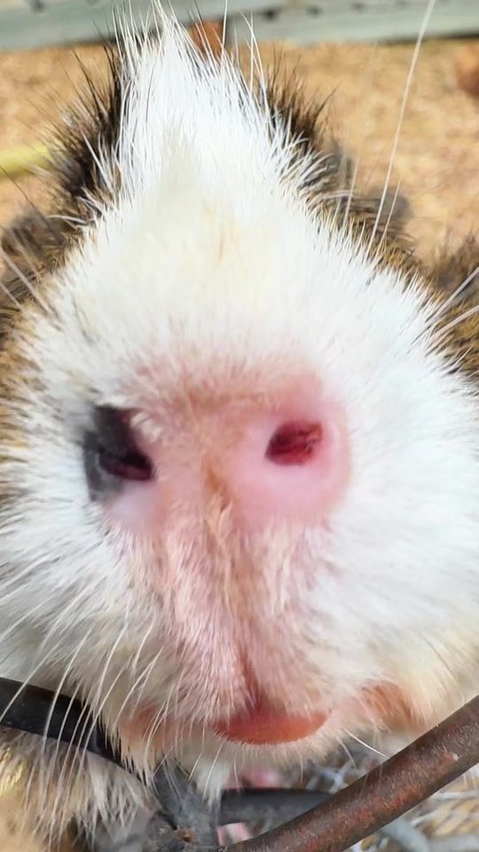 TikTok video thumbnail by multiparque