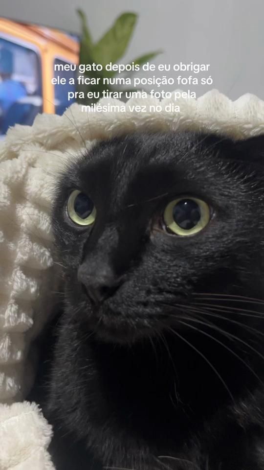 TikTok video thumbnail by prismouraaa