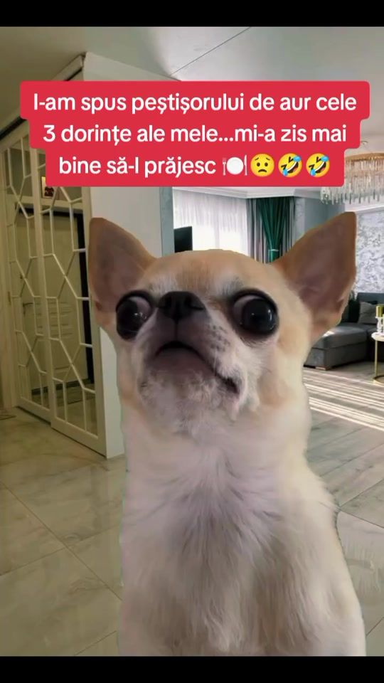 TikTok video thumbnail by venera4878