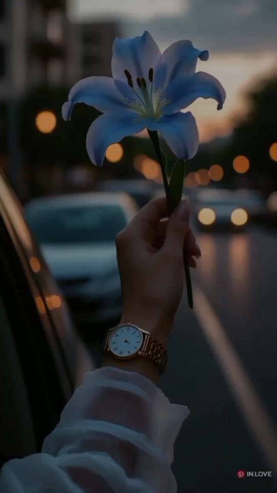 TikTok video thumbnail by yanerigarcia