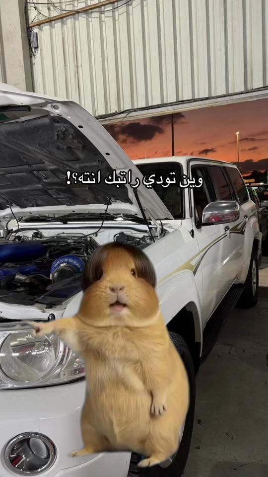 TikTok video thumbnail by a3.iz