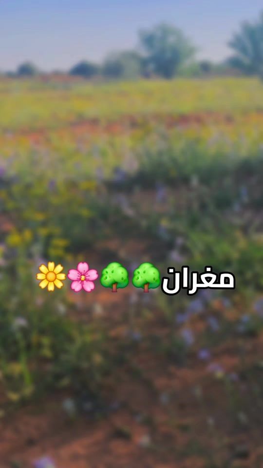 TikTok video thumbnail by blgasemargoub