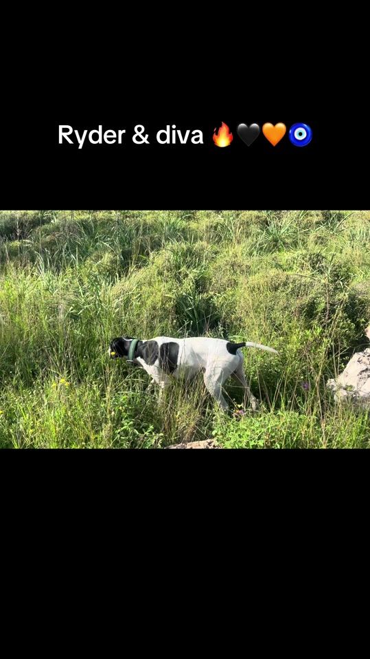 TikTok video thumbnail by ashkarmhmd01