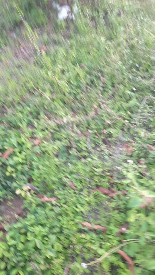 TikTok video thumbnail by davidpalacios834