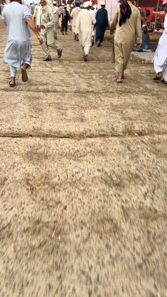 TikTok video thumbnail by arif_ullah_king
