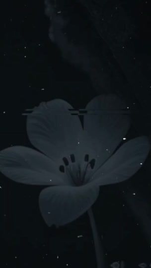 TikTok video thumbnail by w5.in1