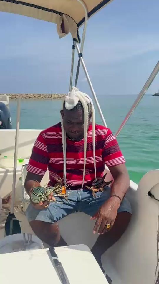 TikTok video thumbnail by m.thakey