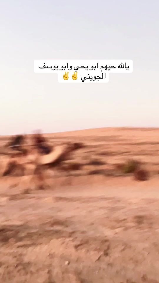 TikTok video thumbnail by cnncv34