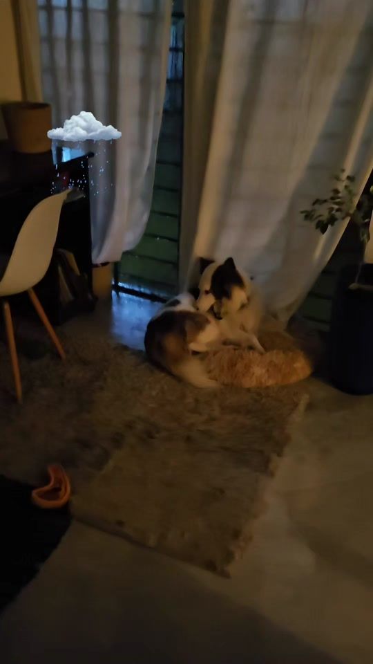 TikTok video thumbnail by sil.hm