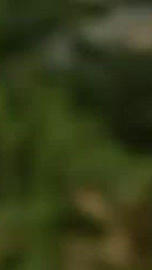 TikTok video thumbnail by hhtcc4
