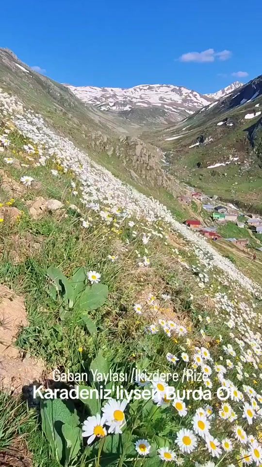 TikTok video thumbnail by mirmika