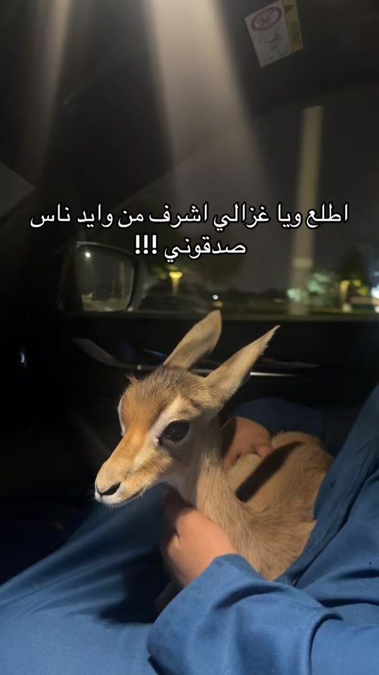TikTok video thumbnail by atomicotroway