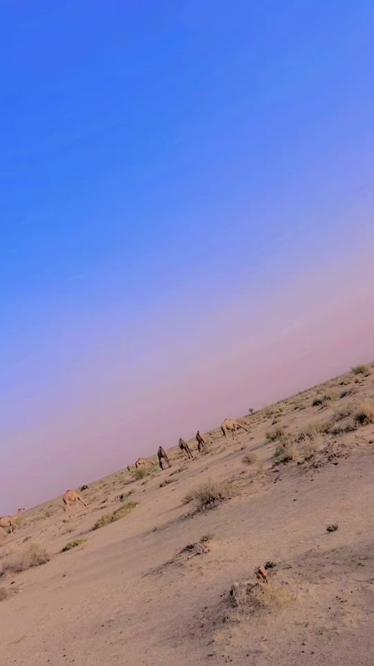 TikTok video thumbnail by iqra_ryk05