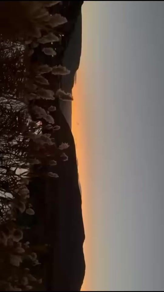 TikTok video thumbnail by celinayassinee