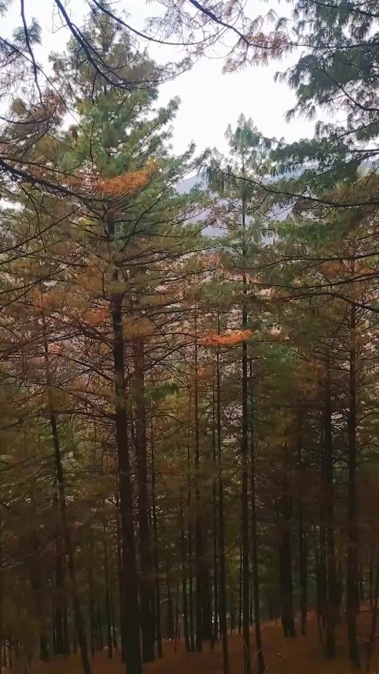 TikTok video thumbnail by abdulrasheed7778