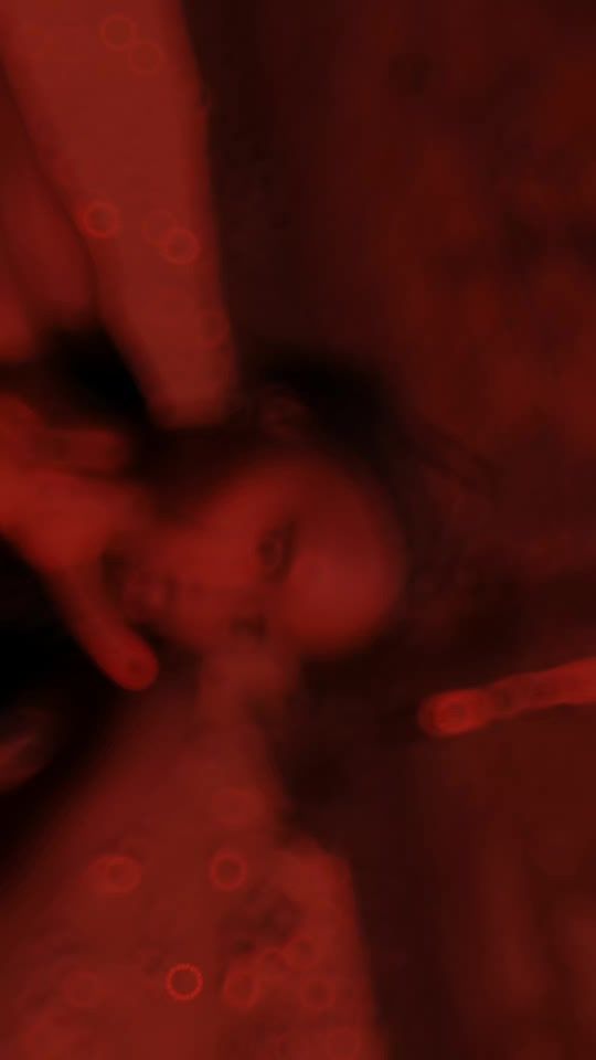 TikTok video thumbnail by flavianasi331