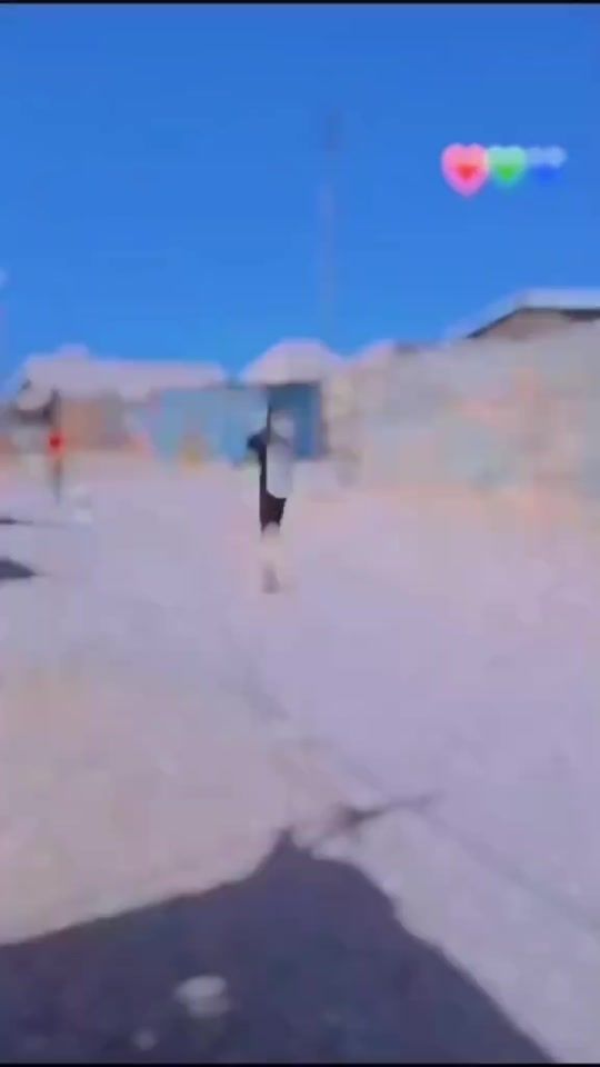 TikTok video thumbnail by maaney04