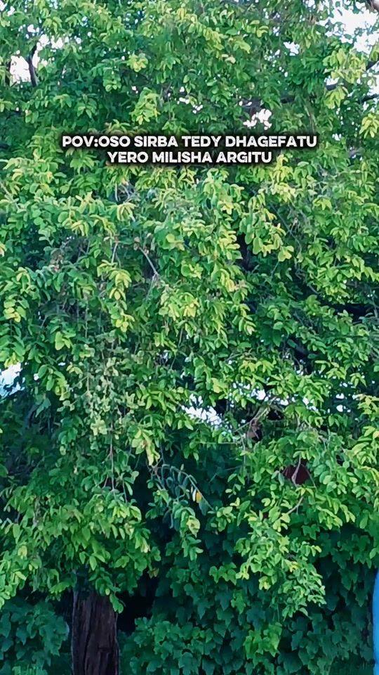 TikTok video thumbnail by mucha.shekh