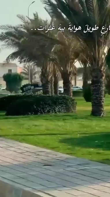 TikTok video thumbnail by saalj19