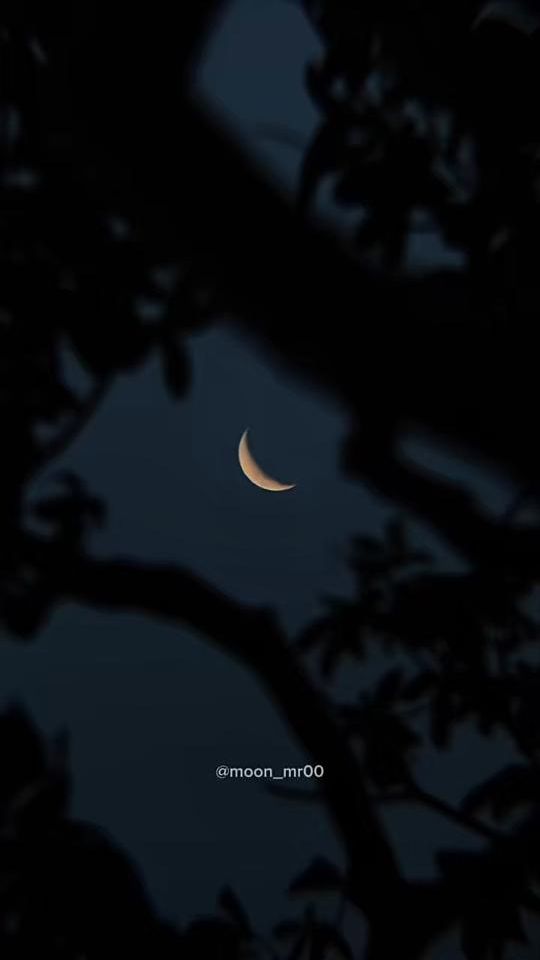 TikTok video thumbnail by moon_mr00_