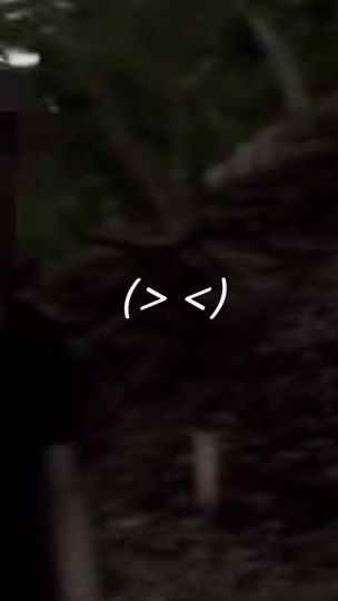 TikTok video thumbnail by niex_36