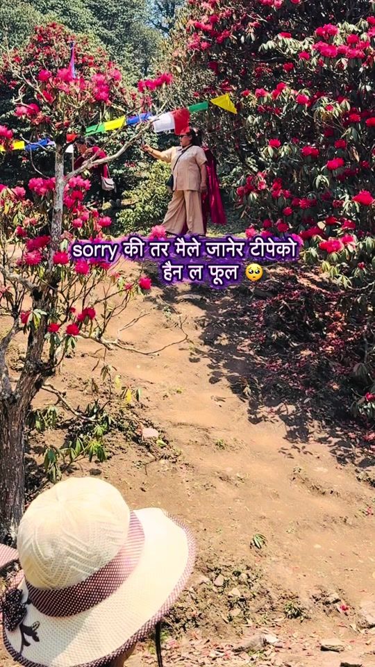 TikTok video thumbnail by housewife_mamta