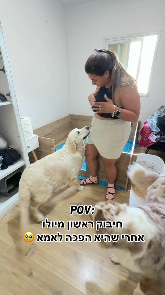 TikTok video thumbnail by mors.dogs
