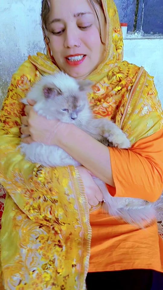 TikTok video thumbnail by aliasghar7094