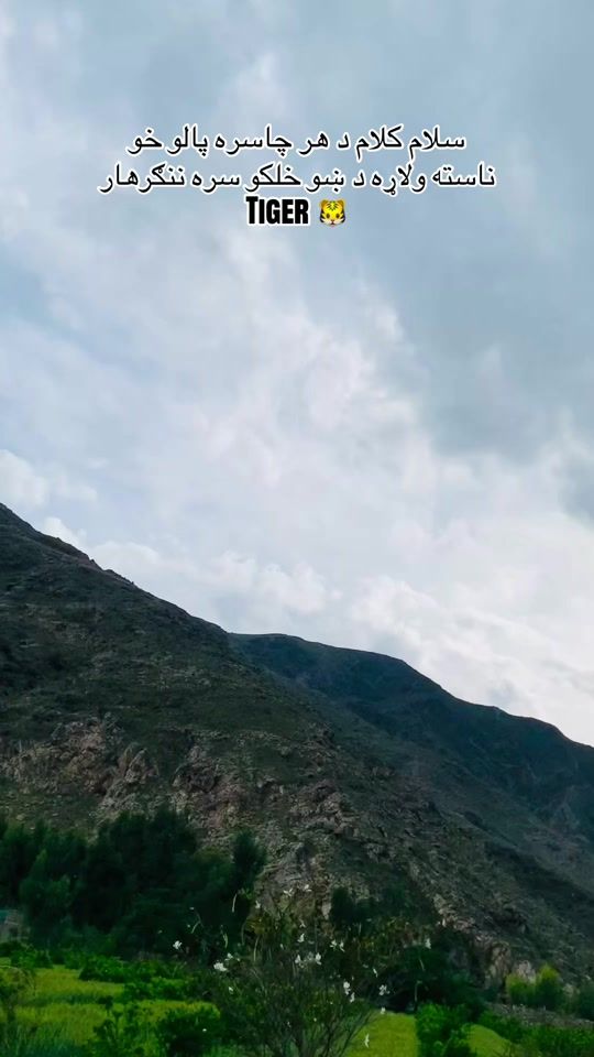 TikTok video thumbnail by wajid.tiger