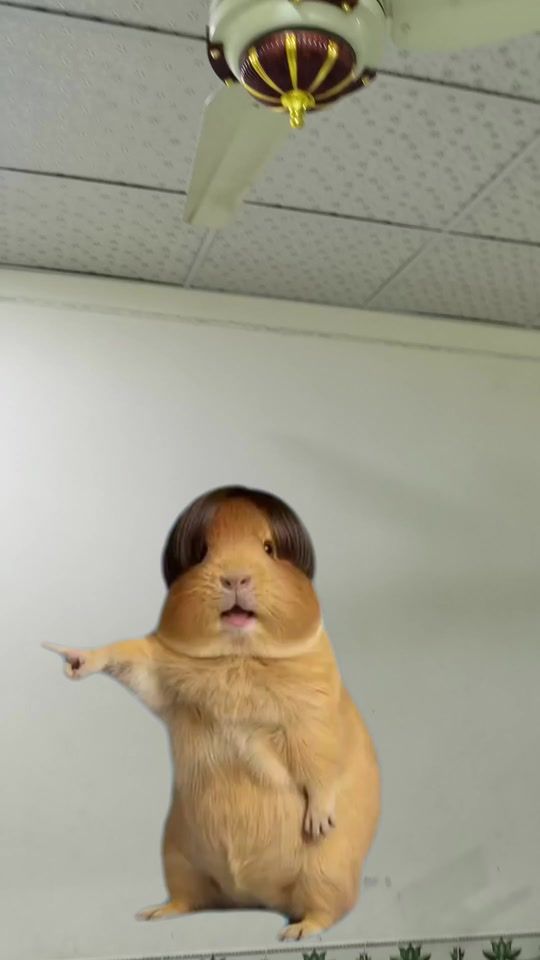 TikTok video thumbnail by _5u56