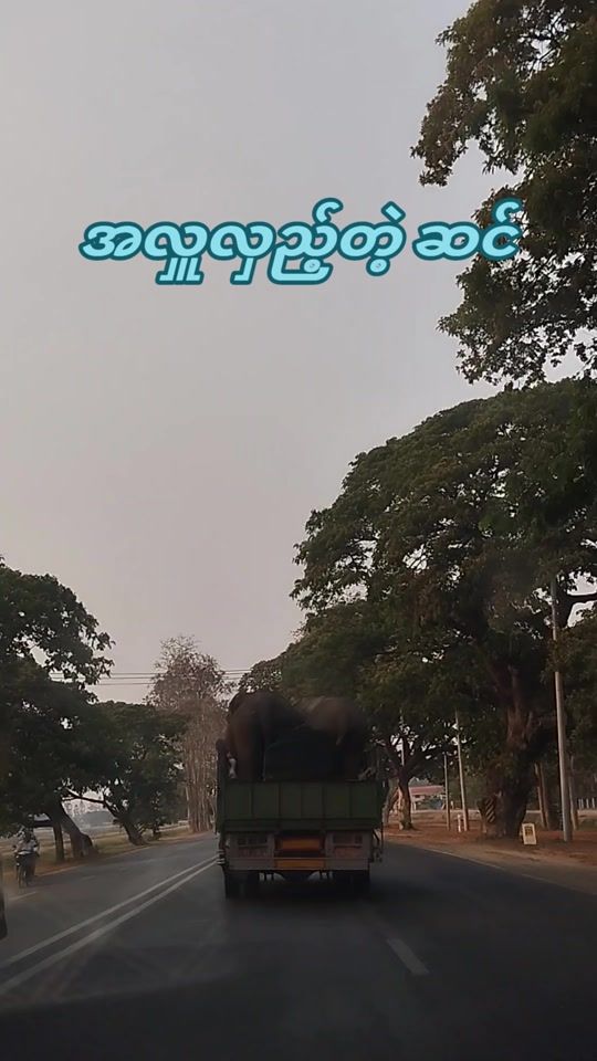 TikTok video thumbnail by singlelay804
